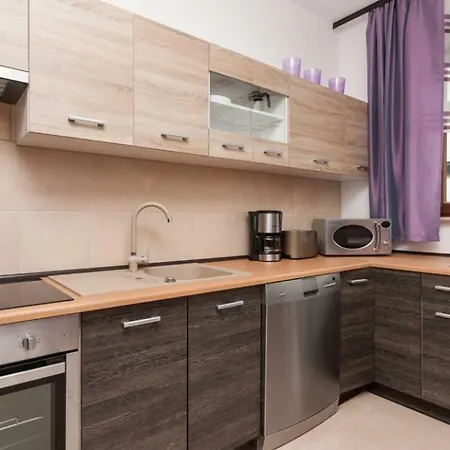 公寓 Platan 斯维诺乌伊希切