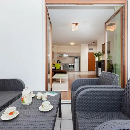 Platan 斯维诺乌伊希切